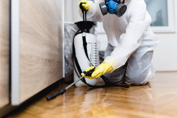 Best Residential Pest Control  in Robinson, IL