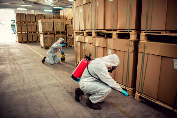 Best Best Pest Control Companies  in Robinson, IL