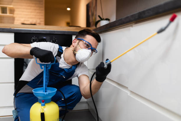 Best Pest Removal Services  in Robinson, IL