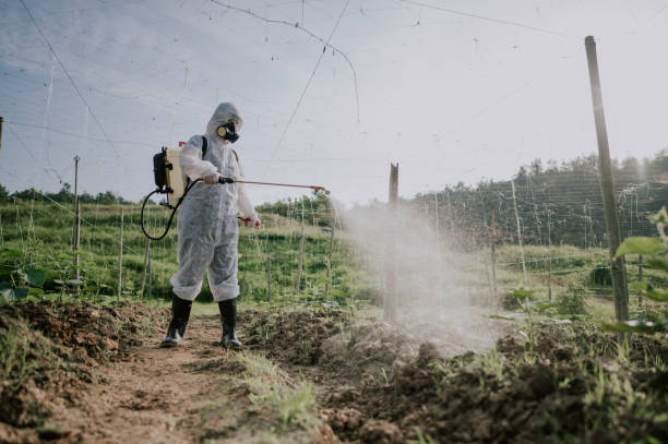 Best Mosquito Control Services  in Robinson, IL
