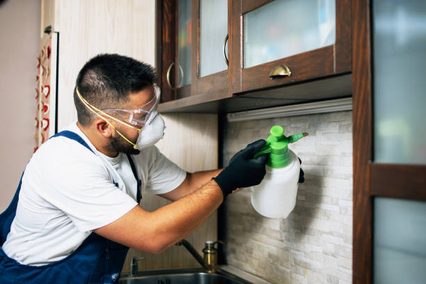 Best Pest Inspection Near Me  in Robinson, IL