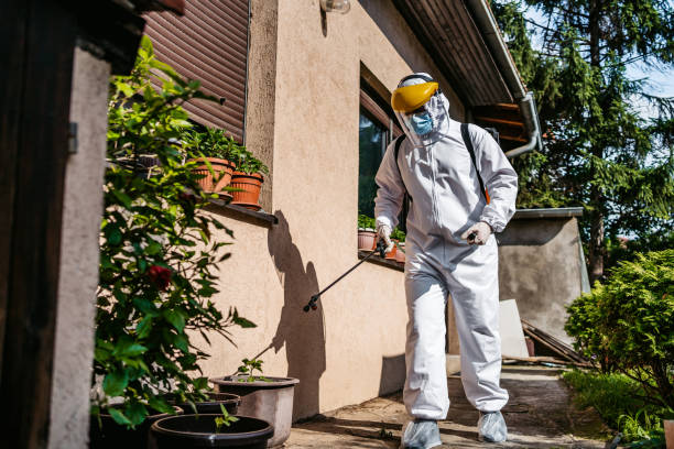 Professional Pest Control in Robinson, IL