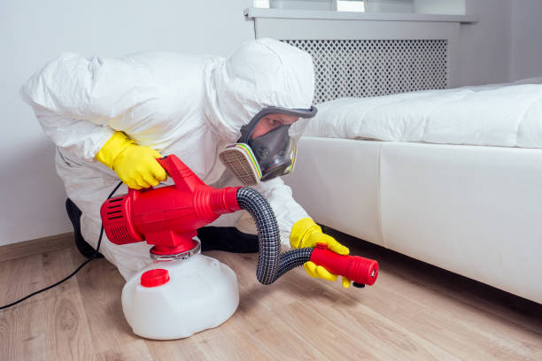 Best Affordable Pest Control Services  in Robinson, IL