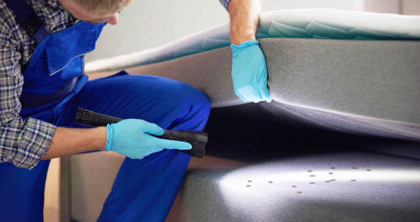 Best Pest Control for Businesses  in Robinson, IL