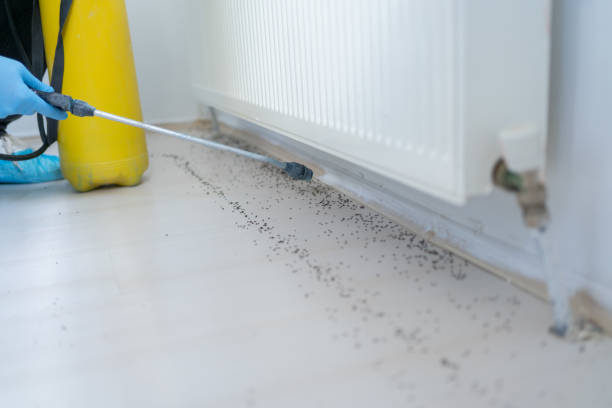Best Wildlife Control Services  in Robinson, IL