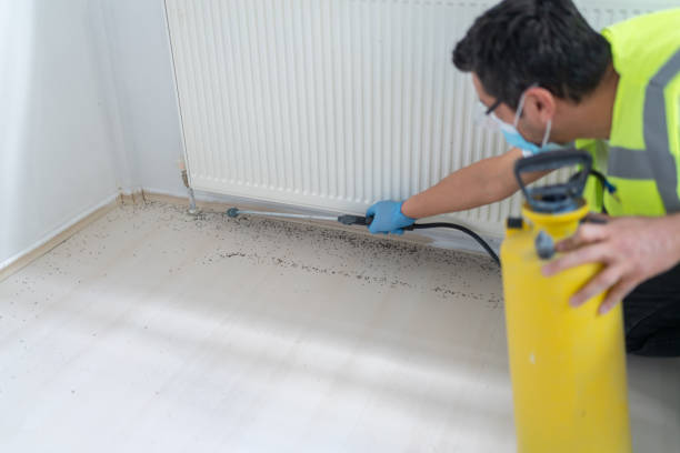 Best Pest Control for Restaurants  in Robinson, IL